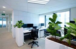 Chartered Bank Building (D1), Office #639005821